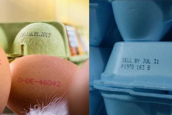 marcado e impresion de huevos